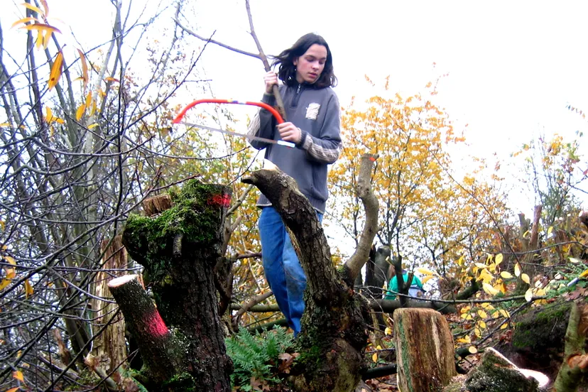 c6yeid0yo8zag28cl0lnig68g natuurwerkdag 2014