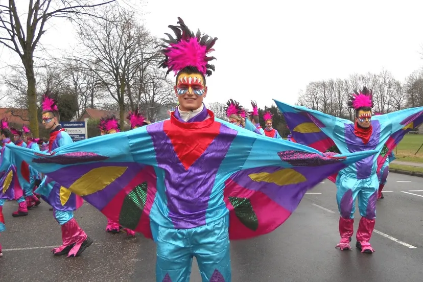 carnaval in vasse