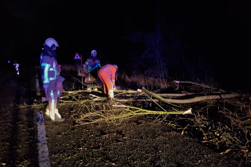 cfed4d4b 4f08 4e60 930b 1fe31d1c6bdd