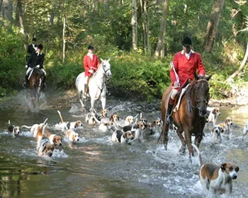 crz22e0c70kkfxscuo9bew3wq 184397