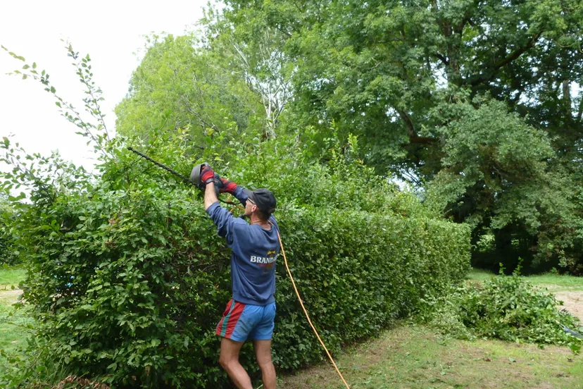 dal7nhc04k4x1lohxfg9f5o9n heg snoeien