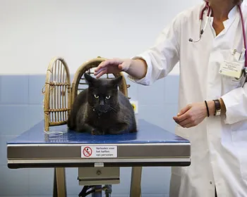 ddh9x1dfhbb5eoe35ume7i8on 101323