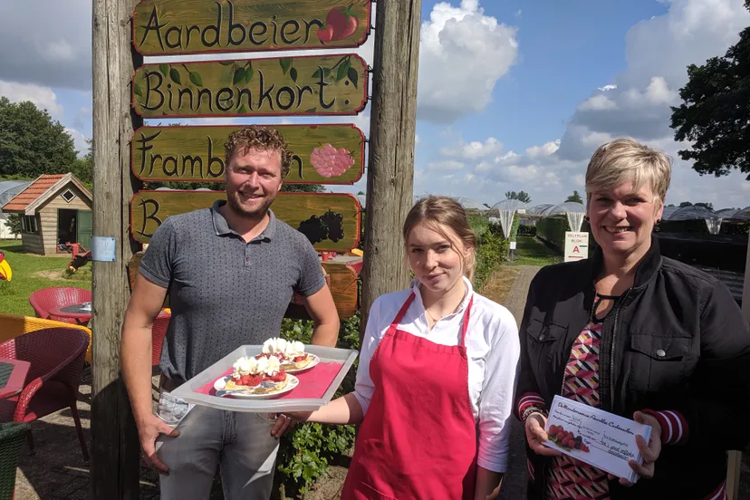 de manderveense aardbei