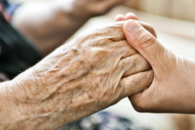 dgcve0ahkr68xif2bnsrb7yml handen