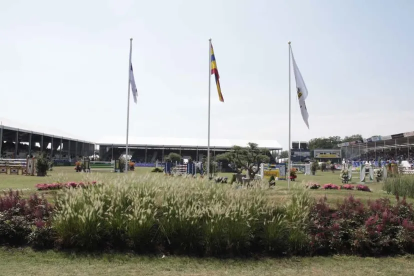 dr60kh5zsvdn6ceu99uqo68vw csi twente 2013