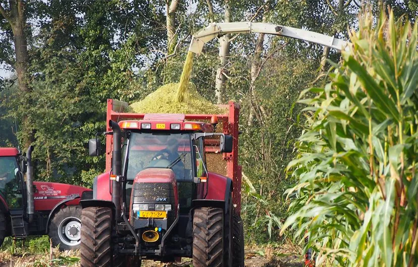 dtf83i4ioiemlvklhu3cl2kl7 maisoogst