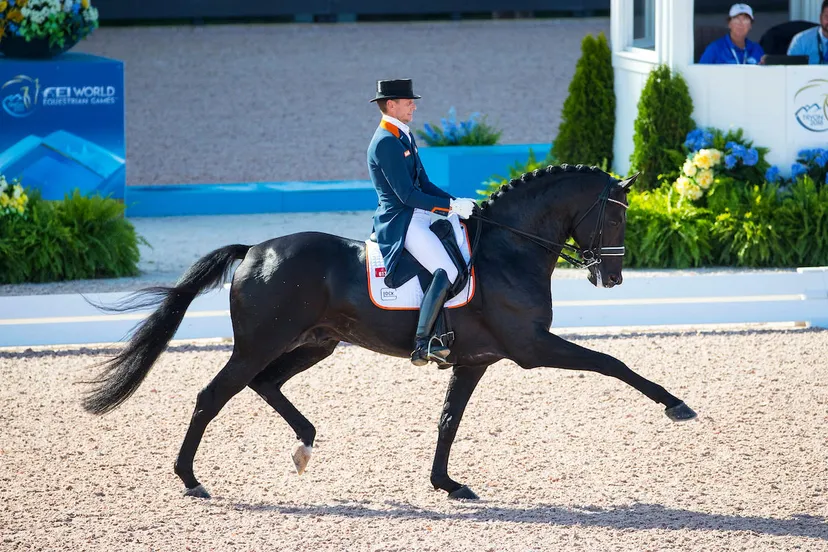 edward gal zonik digi