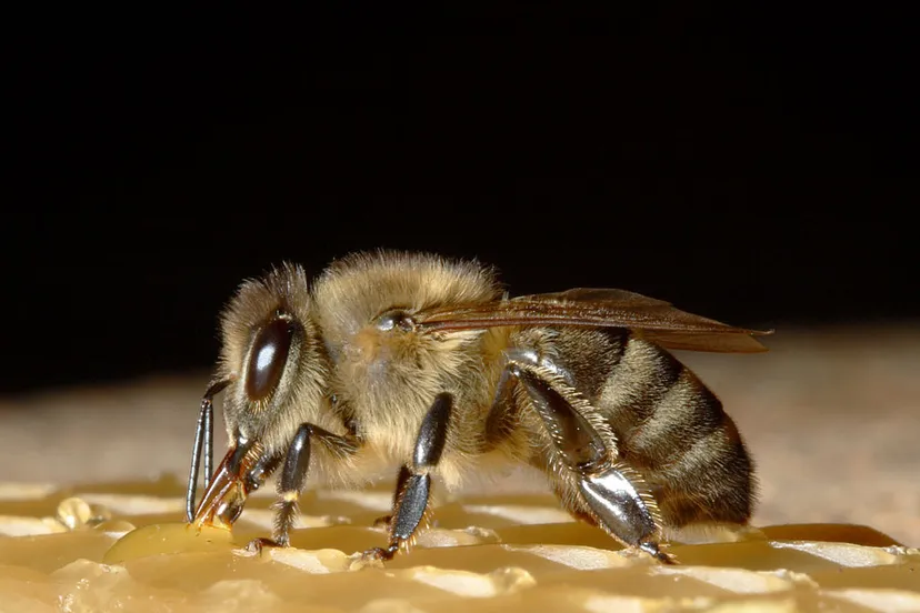 eep321y90nrjle2hj7nmgn3yy bij