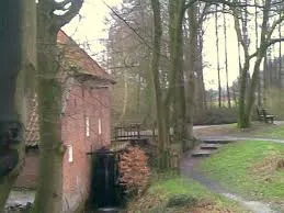 ej8lucuowo30pnwr6hvtl7b0l 79407