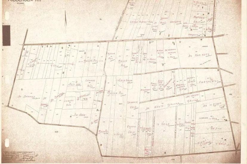 el5ygpben298wjiga5dikjcw8 221544