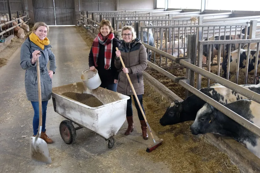 ervencoaches ursula armanda en martine e1551855879924