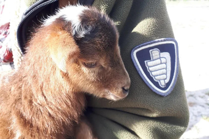 eyt36qjwkai xaf e1590253296783