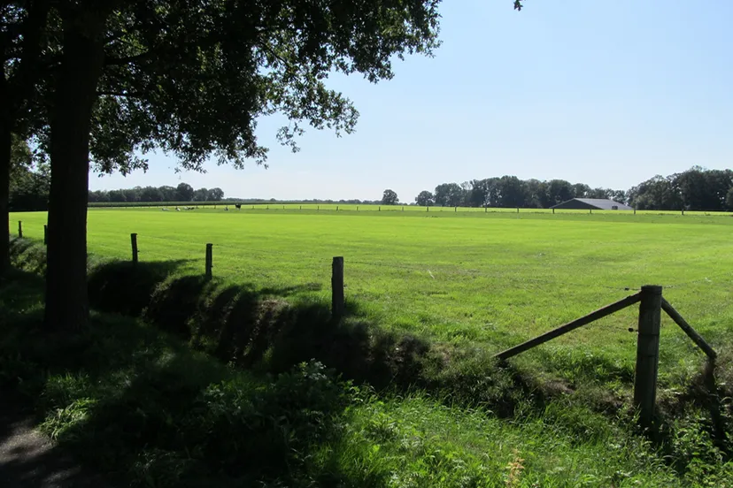 fa4ygfl6wp2a0enc2hqfpsl3g 233660