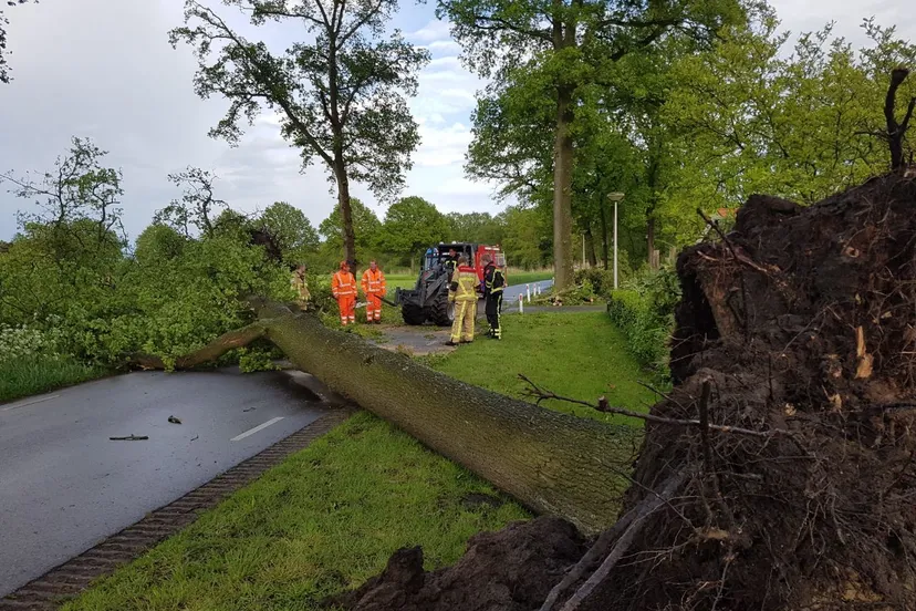 fa7b6a0d 3475 4b9e 838a e7b2e98e0ac3