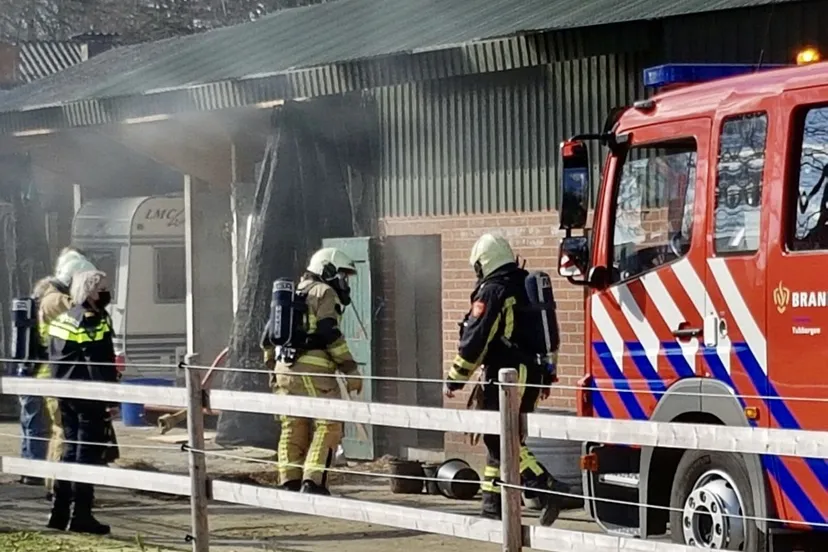 fe32ee64 2add 4662 8dd4 e7b969b1d89f