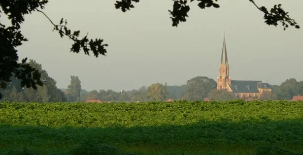 fhabeuta5s3vw2lr67rulxb1q vasse