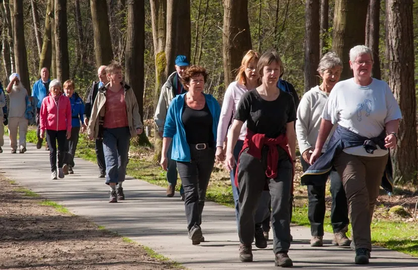 fwf557872b4ami9q2ufhjbk3f wandeltraining