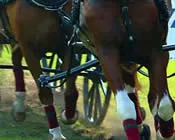 fwxht6kf4kg8cgd7rsshj4ylm 89608