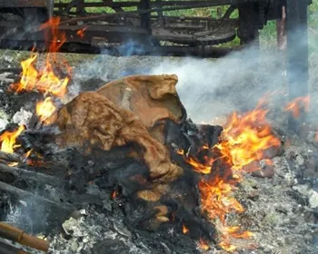 g9iq8fij1dhmepgtn8483co0r 174017