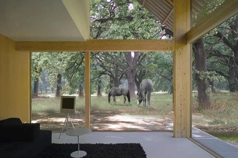 glf74lnihv3c6ty7gy9ho3e53 04micbeeldenknooperven