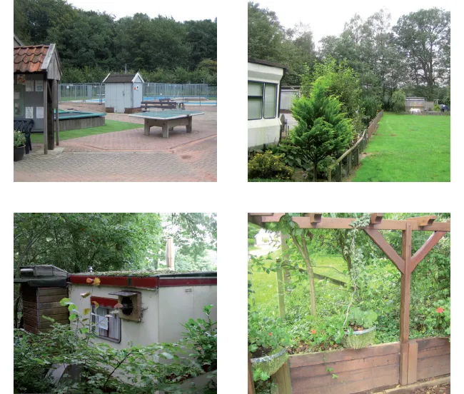 gq15g3c3cdmi7p84a4rmoysky 213284