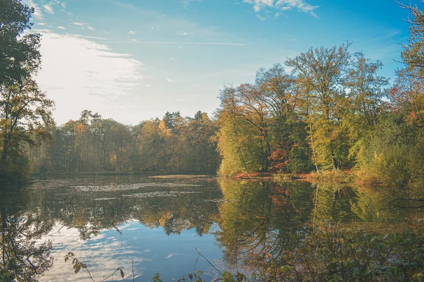 grote bronvijver springendal