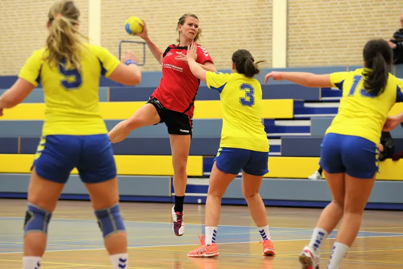 hacol stevo 1 foto cb 10