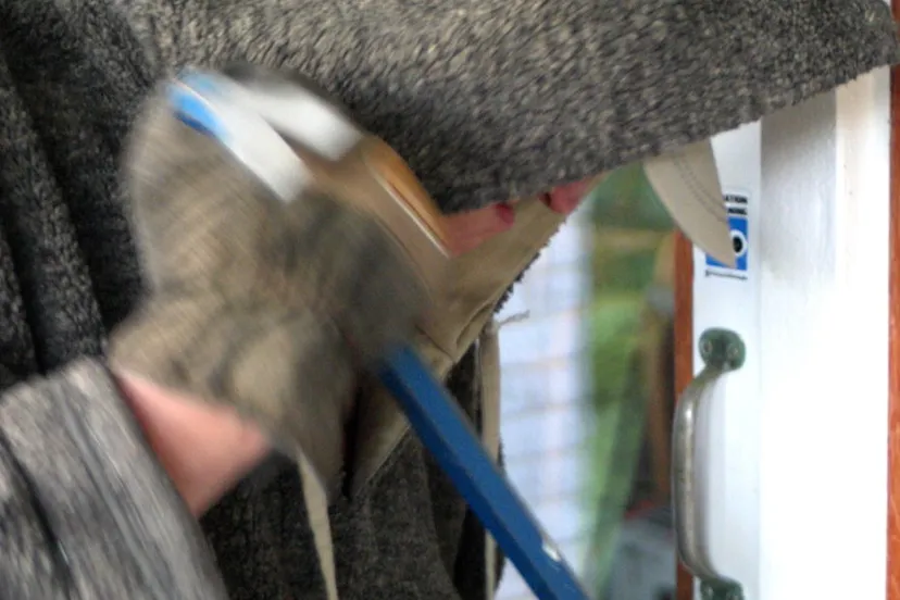 housebreaking 2 1460992 e1556973524193