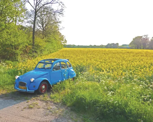 hvysn22l55sne0tbh1n0ux384 151018