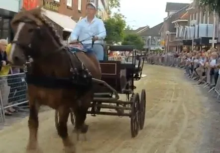 i3kzbykm7mpzrtgerumocal11 80769