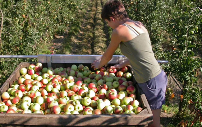 ibv6rjuruj4w8klkyycste2ol appeloogst