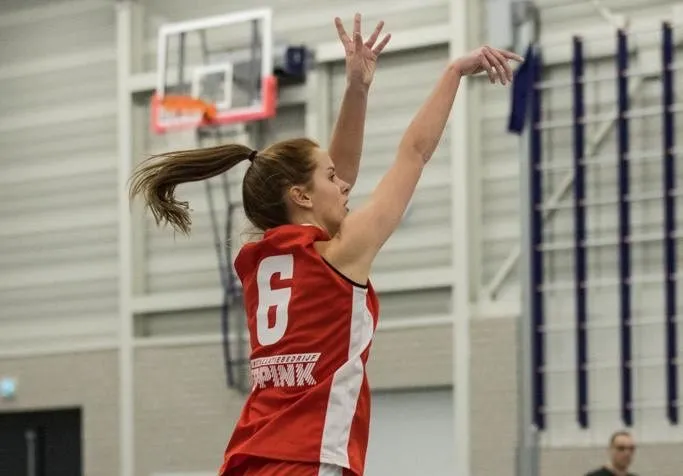 image 5 e1593271888529