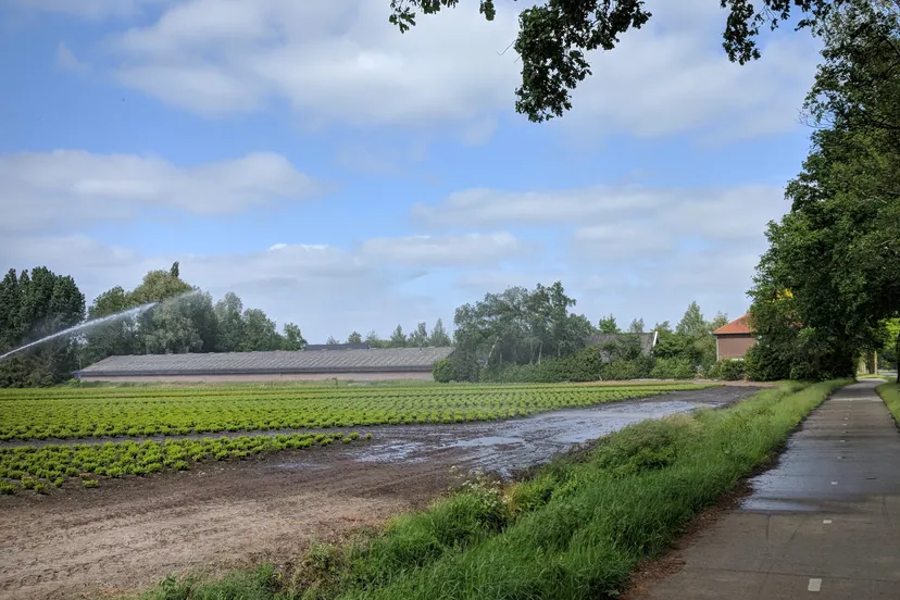 img 20180517 160143 e1526571564397