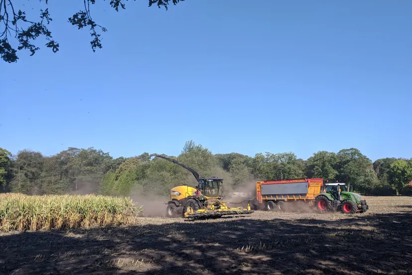 img 20180918 113617 e1537264039618