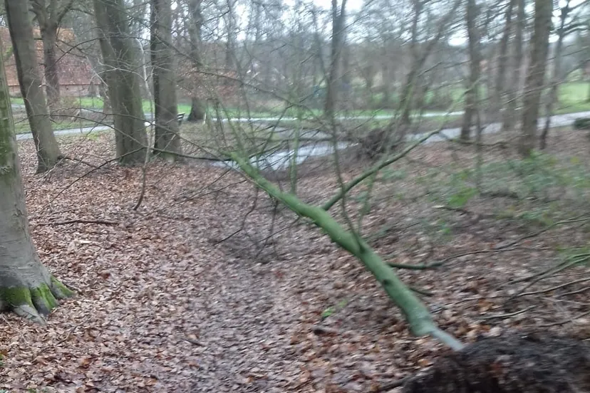 img 20200207 wa0001 e1581328781989