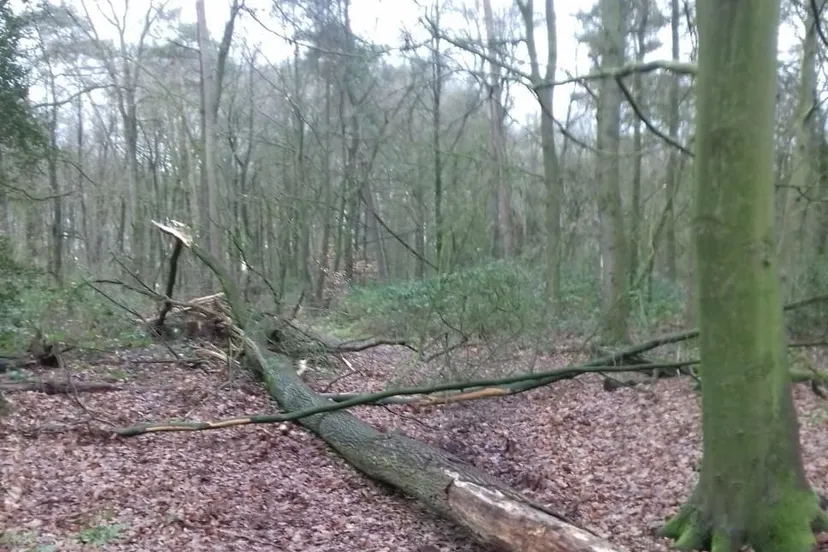 img 20200207 wa0002 e1581331363560