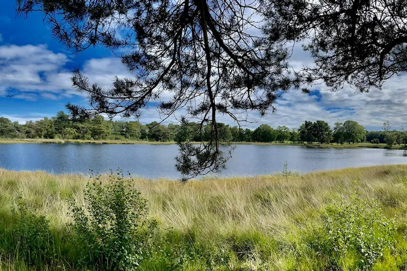 img 2023 08 12 164618