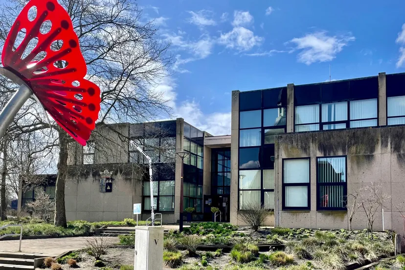 img 2023 3 25 084341 1