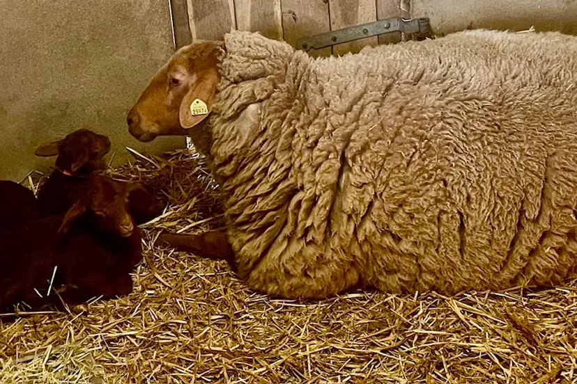 img 2024 04 07 102301