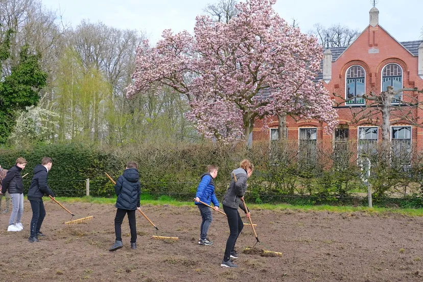inharken van bloemenmengsel