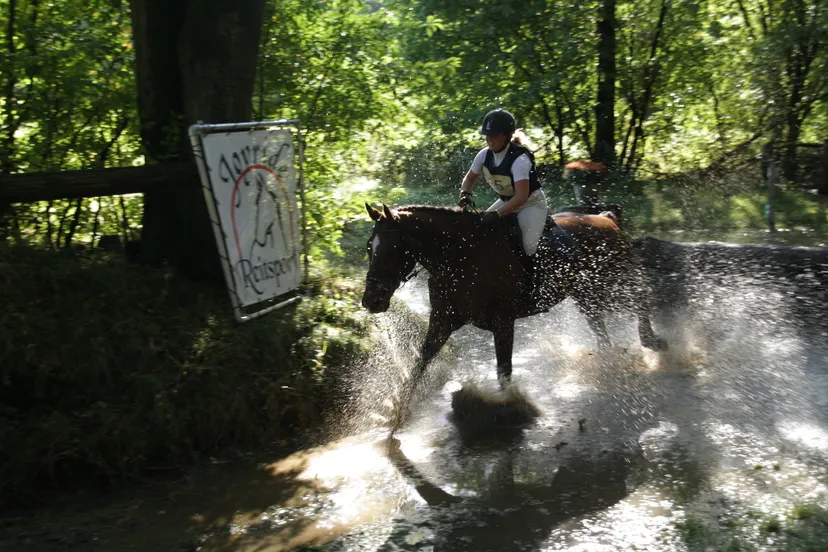 j83yuy84swwrzmoz6ute829k1 foto 218