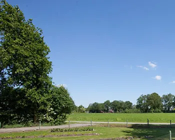 jj397q7hfr6gey30lj8m05fmv 177617