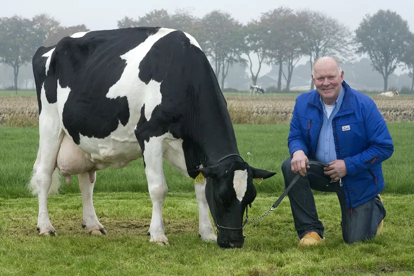 jos knoef met boukje 192