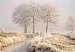 jvre3v2wr02u260of15yoz0ot 118605