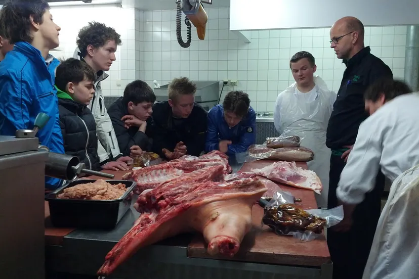 k8cw951nf2zsa3fop54gjjqmt 226407