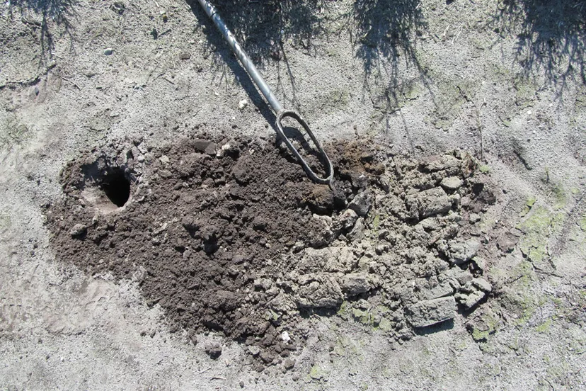 kng57sy3hurl51gcvh2ls3uwv 207861