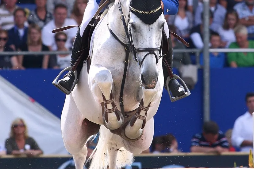 ko65j0h22wr3jdlpw0onq0n9k 8h0k3370