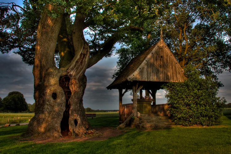 kroezeboom frans nijland