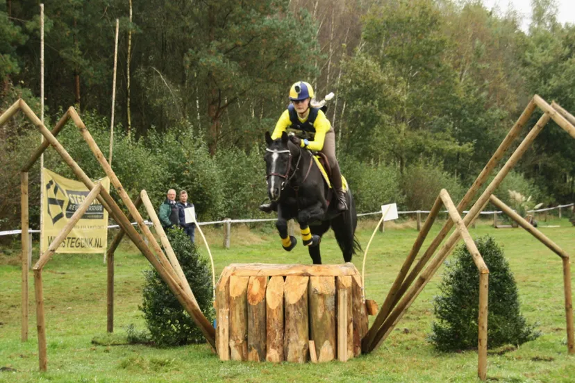 l0v8xjizqbri5b1t9gvq95lxw img6658