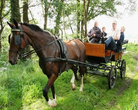 lawwifn9vbfyajhx3qd0m5mve 130521